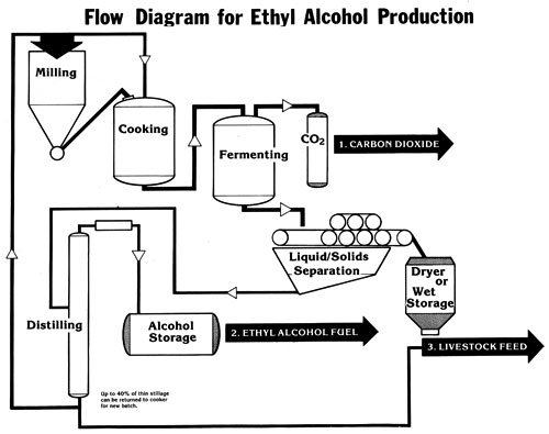 Proceso de producción del alcohol etílico
